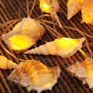 Urban Outfitters Battery Operated 10 Ft Natural Conch Beach Theme String Lights